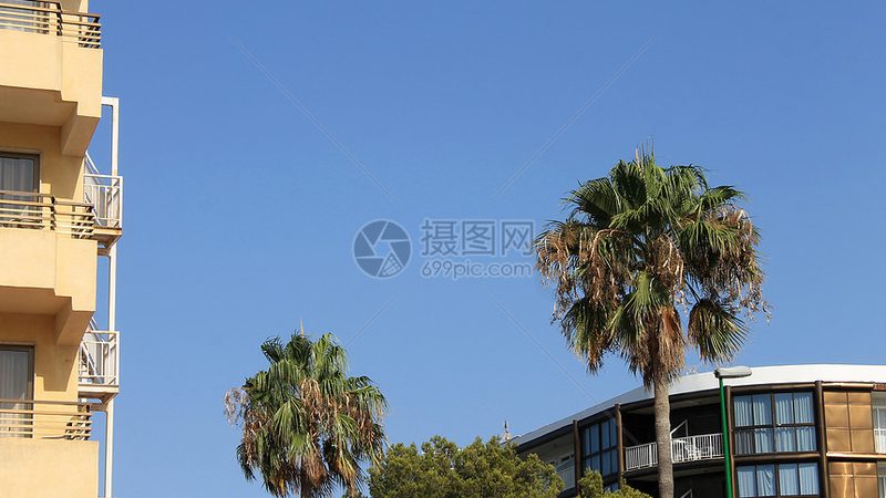研学旅行定制：从粗放组团到精准育人的服务升级